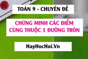 Cách chứng minh các điểm (4 điểm) cùng thuộc một đường tròn - Toán 9 chuyên đề